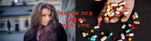 гидра Алексеевка