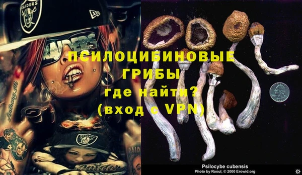 винт Алексин