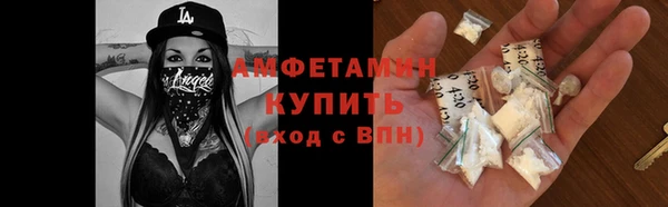 гидра Алексеевка