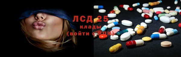винт Алексин