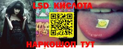 индика Надым