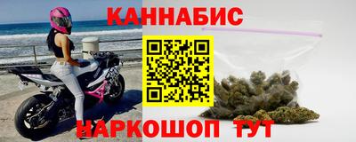 индика Надым