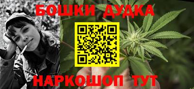 индика Надым