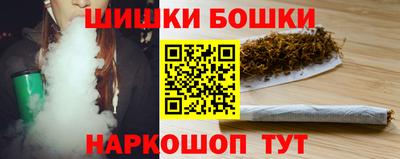 индика Надым