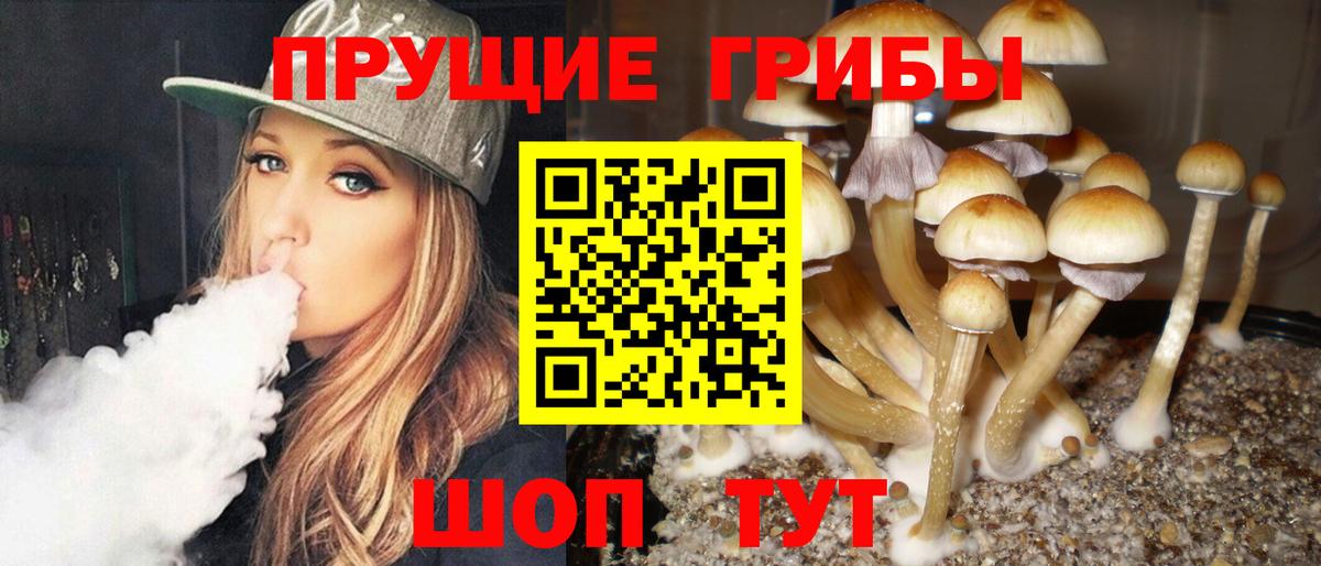 Галлюциногенные грибы Psilocybe  Галлюциногенные грибы мицелий  Апатиты  Вход с VPN 